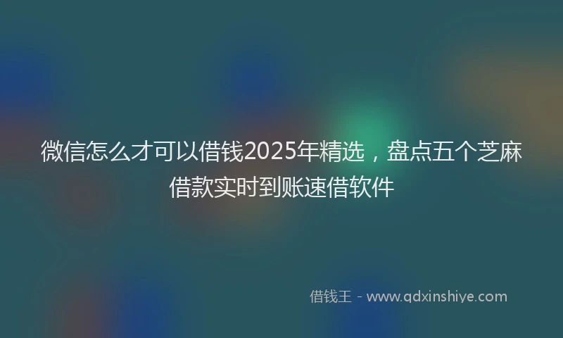 微信怎么才可以借钱2025年精选，盘点五个芝麻借款实时到账速借软件