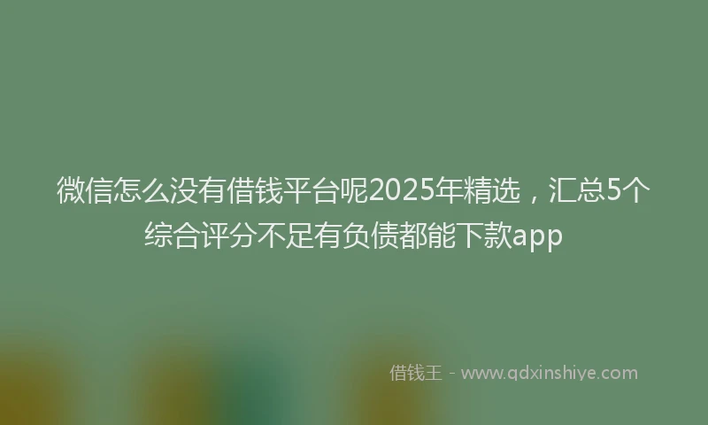 微信怎么没有借钱平台呢2025年精选，汇总5个综合评分不足有负债都能下款app