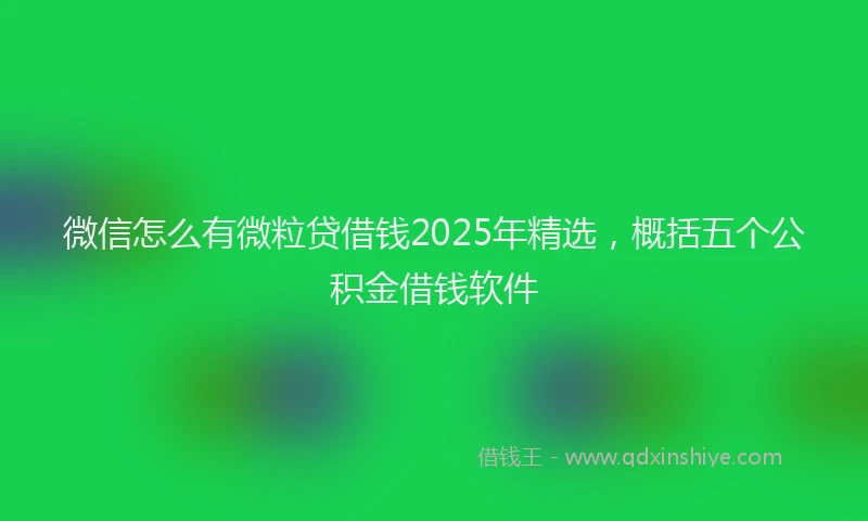 微信怎么有微粒贷借钱2025年精选，概括五个公积金借钱软件