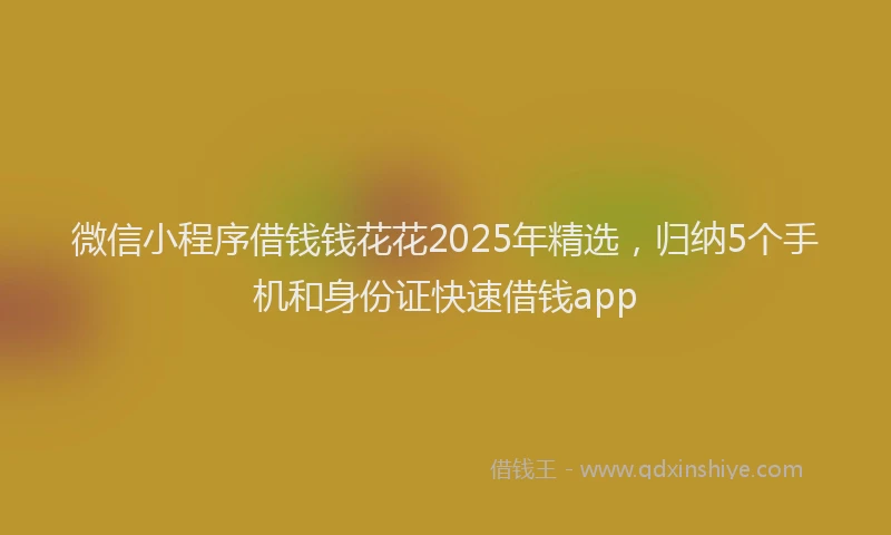 微信小程序借钱钱花花2025年精选，归纳5个手机和身份证快速借钱app
