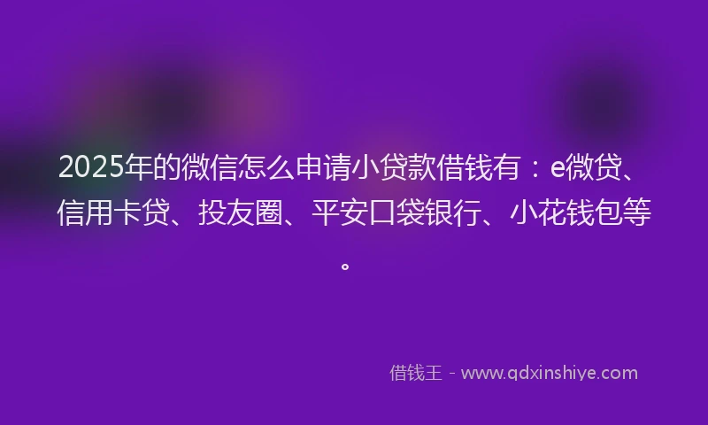 2025年的微信怎么申请小贷款借钱有：e微贷、信用卡贷、投友圈、平安口袋银行、小花钱包等。