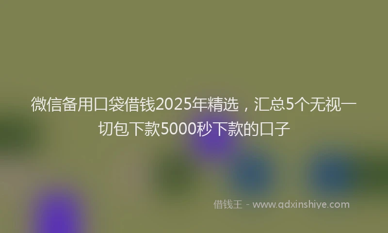 微信备用口袋借钱2025年精选，汇总5个无视一切包下款5000秒下款的口子