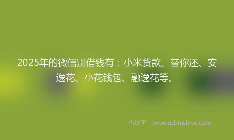 2025年的微信别借钱有：小米贷款、替你还、安逸花、小花钱包、融逸花等。