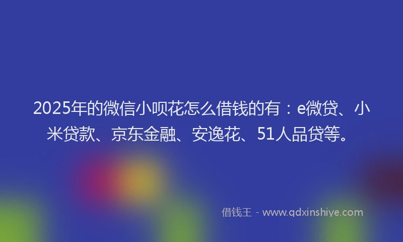 2025年的微信小呗花怎么借钱的有：e微贷、小米贷款、京东金融、安逸花、51人品贷等。