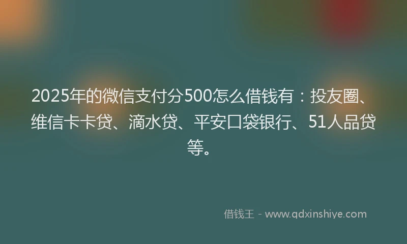 2025年的微信支付分500怎么借钱有：投友圈、维信卡卡贷、滴水贷、平安口袋银行、51人品贷等。