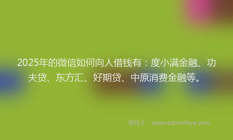 2025年的微信如何向人借钱有：度小满金融、功夫贷、东方汇、好期贷、中原消费金融等。