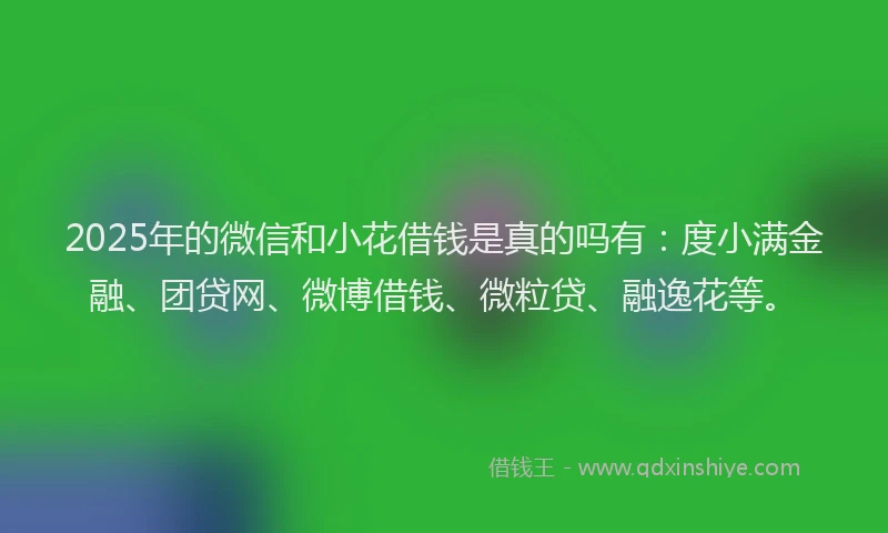 2025年的微信和小花借钱是真的吗有：度小满金融、团贷网、微博借钱、微粒贷、融逸花等。