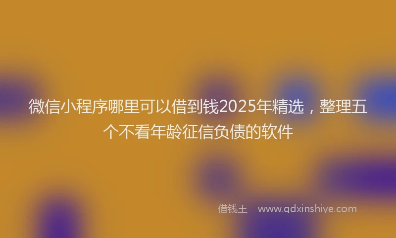 微信小程序哪里可以借到钱2025年精选，整理五个不看年龄征信负债的软件