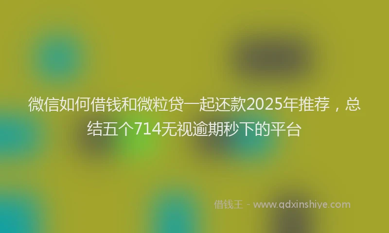 微信如何借钱和微粒贷一起还款2025年推荐，总结五个714无视逾期秒下的平台