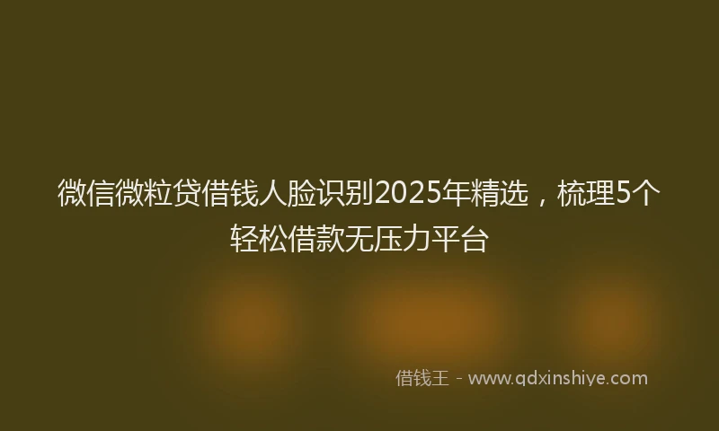 微信微粒贷借钱人脸识别2025年精选，梳理5个轻松借款无压力平台