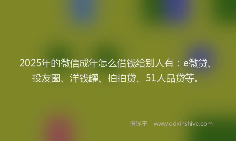 2025年的微信成年怎么借钱给别人有：e微贷、投友圈、洋钱罐、拍拍贷、51人品贷等。