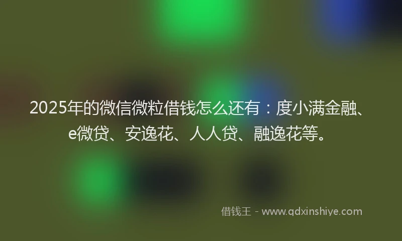 2025年的微信微粒借钱怎么还有：度小满金融、e微贷、安逸花、人人贷、融逸花等。