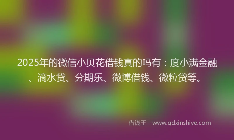 2025年的微信小贝花借钱真的吗有：度小满金融、滴水贷、分期乐、微博借钱、微粒贷等。
