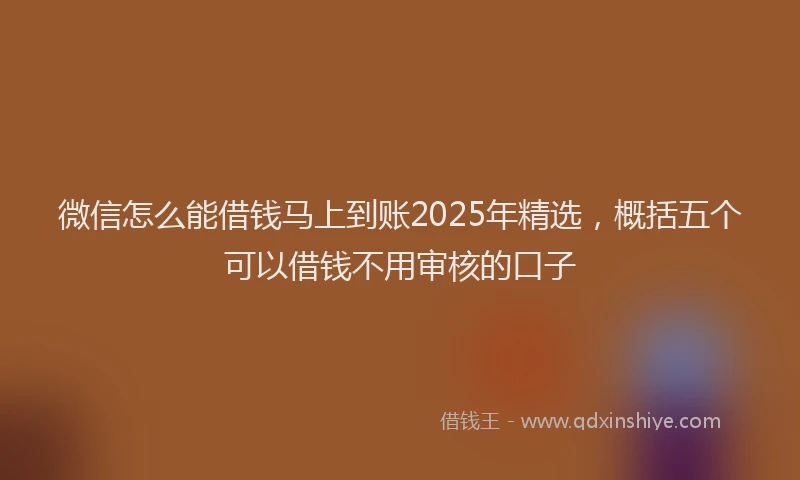 微信怎么能借钱马上到账2025年精选，概括五个可以借钱不用审核的口子
