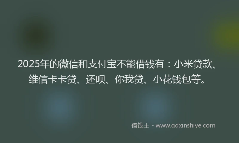 2025年的微信和支付宝不能借钱有：小米贷款、维信卡卡贷、还呗、你我贷、小花钱包等。