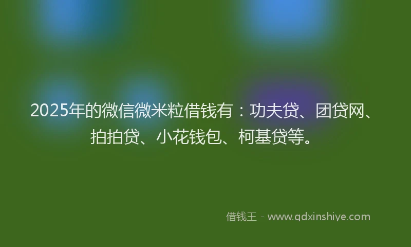 2025年的微信微米粒借钱有：功夫贷、团贷网、拍拍贷、小花钱包、柯基贷等。
