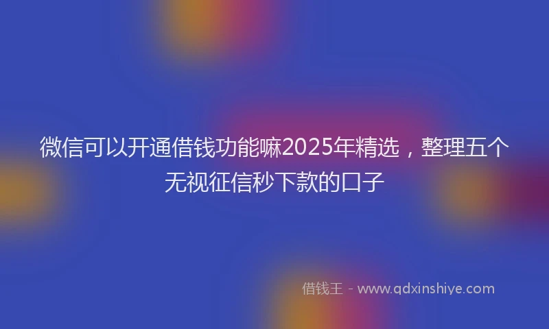 微信可以开通借钱功能嘛2025年精选，整理五个无视征信秒下款的口子