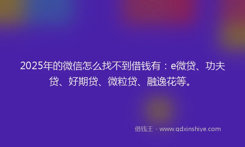 2025年的微信怎么找不到借钱有：e微贷、功夫贷、好期贷、微粒贷、融逸花等。