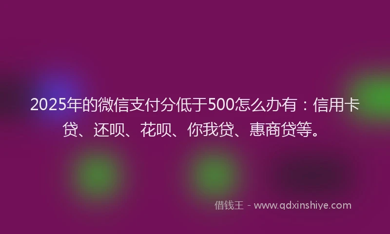 2025年的微信支付分低于500怎么办有：信用卡贷、还呗、花呗、你我贷、惠商贷等。