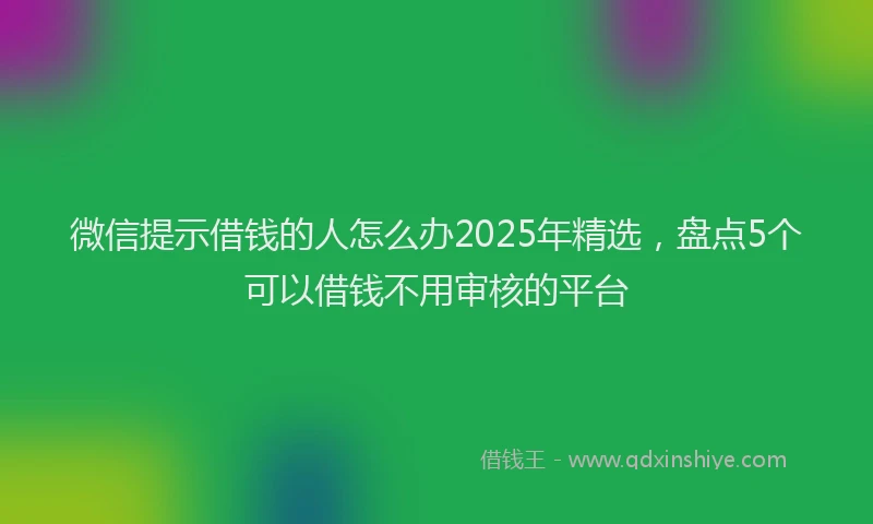 微信提示借钱的人怎么办2025年精选，盘点5个可以借钱不用审核的平台