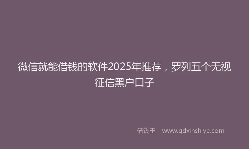 微信就能借钱的软件2025年推荐，罗列五个无视征信黑户口子