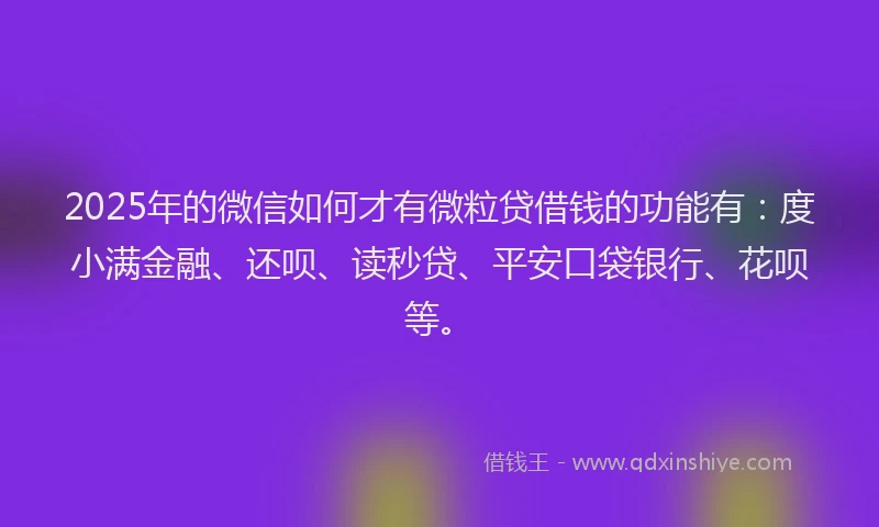 2025年的微信如何才有微粒贷借钱的功能有：度小满金融、还呗、读秒贷、平安口袋银行、花呗等。
