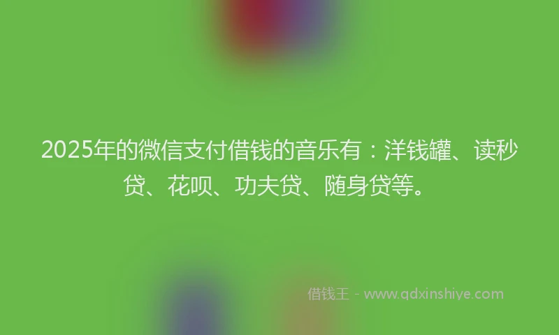 2025年的微信支付借钱的音乐有：洋钱罐、读秒贷、花呗、功夫贷、随身贷等。