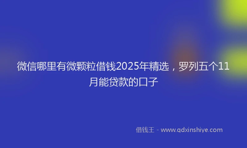 微信哪里有微颗粒借钱2025年精选，罗列五个11月能贷款的口子