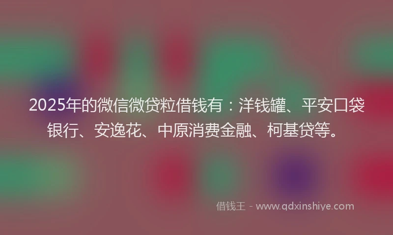 2025年的微信微贷粒借钱有：洋钱罐、平安口袋银行、安逸花、中原消费金融、柯基贷等。