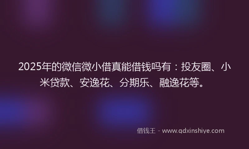 2025年的微信微小借真能借钱吗有：投友圈、小米贷款、安逸花、分期乐、融逸花等。