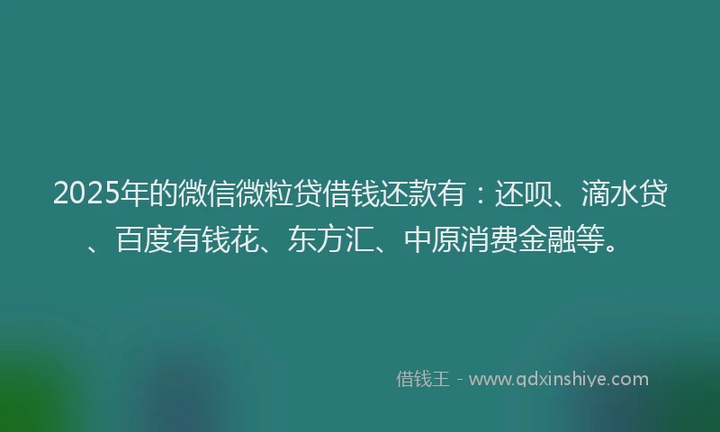 2025年的微信微粒贷借钱还款有：还呗、滴水贷、百度有钱花、东方汇、中原消费金融等。