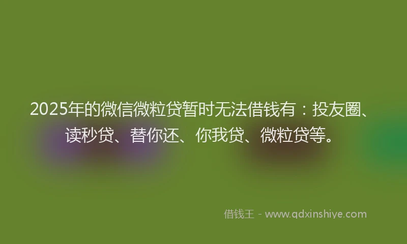 2025年的微信微粒贷暂时无法借钱有：投友圈、读秒贷、替你还、你我贷、微粒贷等。