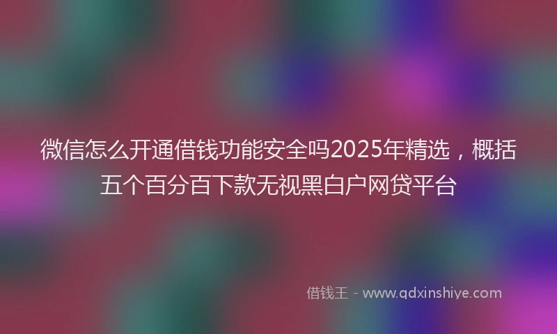 微信怎么开通借钱功能安全吗2025年精选，概括五个百分百下款无视黑白户网贷平台