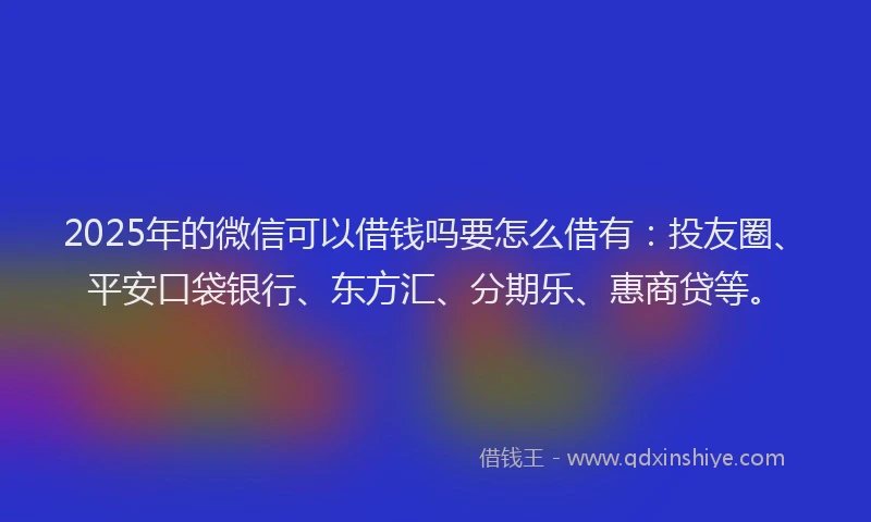 2025年的微信可以借钱吗要怎么借有：投友圈、平安口袋银行、东方汇、分期乐、惠商贷等。