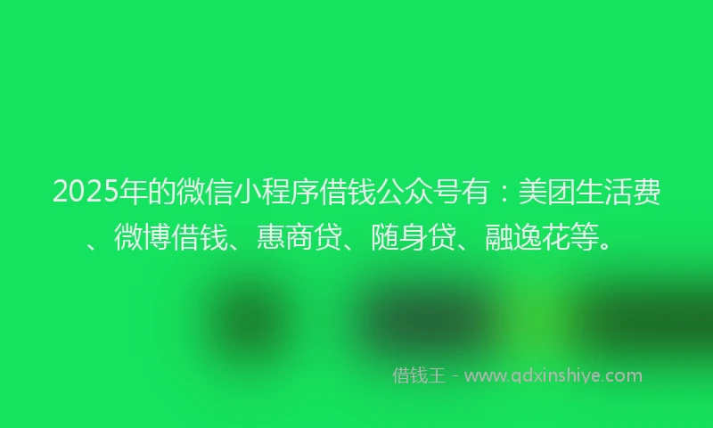 2025年的微信小程序借钱公众号有：美团生活费、微博借钱、惠商贷、随身贷、融逸花等。