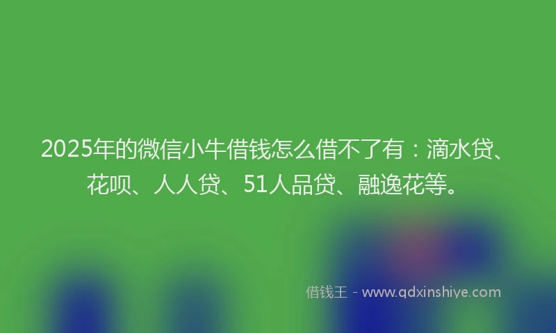 2025年的微信小牛借钱怎么借不了有：滴水贷、花呗、人人贷、51人品贷、融逸花等。