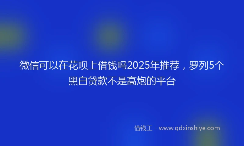 微信可以在花呗上借钱吗2025年推荐，罗列5个黑白贷款不是高炮的平台