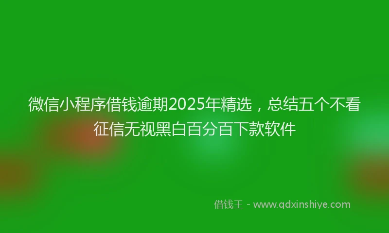 微信小程序借钱逾期2025年精选，总结五个不看征信无视黑白百分百下款软件