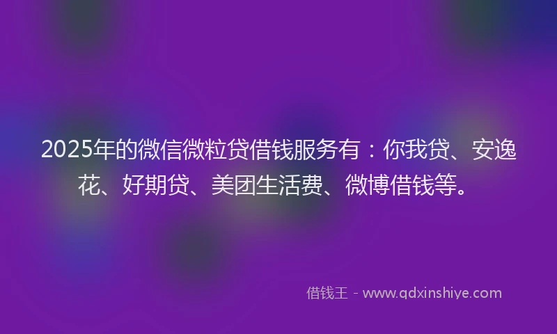 2025年的微信微粒贷借钱服务有：你我贷、安逸花、好期贷、美团生活费、微博借钱等。