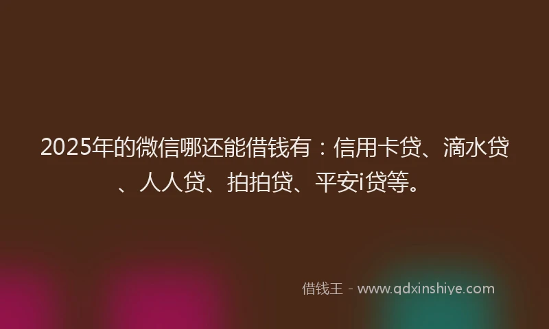 2025年的微信哪还能借钱有：信用卡贷、滴水贷、人人贷、拍拍贷、平安i贷等。