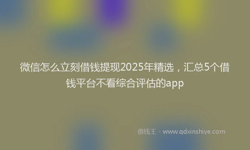 微信怎么立刻借钱提现2025年精选，汇总5个借钱平台不看综合评估的app