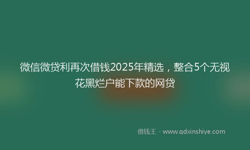 微信微贷利再次借钱2025年精选，整合5个无视花黑烂户能下款的网贷