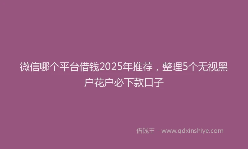 微信哪个平台借钱2025年推荐，整理5个无视黑户花户必下款口子