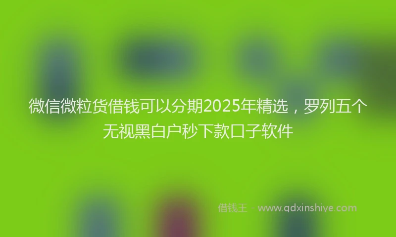 微信微粒货借钱可以分期2025年精选，罗列五个无视黑白户秒下款口子软件