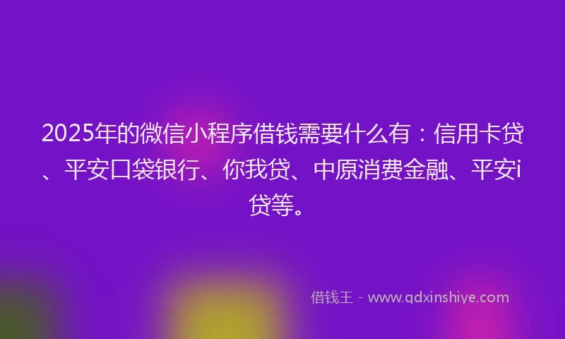 2025年的微信小程序借钱需要什么有：信用卡贷、平安口袋银行、你我贷、中原消费金融、平安i贷等。
