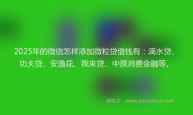 2025年的微信怎样添加微粒贷借钱有：滴水贷、功夫贷、安逸花、我来贷、中原消费金融等。