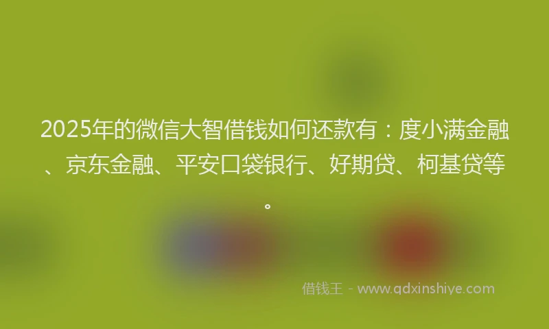2025年的微信大智借钱如何还款有：度小满金融、京东金融、平安口袋银行、好期贷、柯基贷等。
