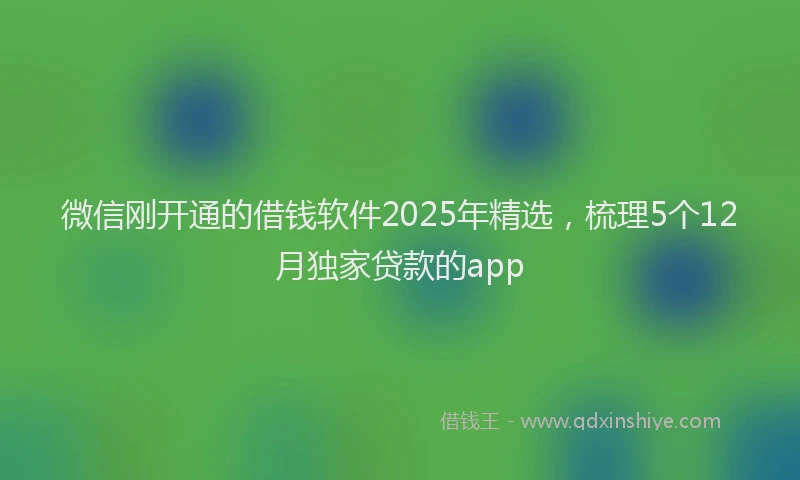 微信刚开通的借钱软件2025年精选，梳理5个12月独家贷款的app