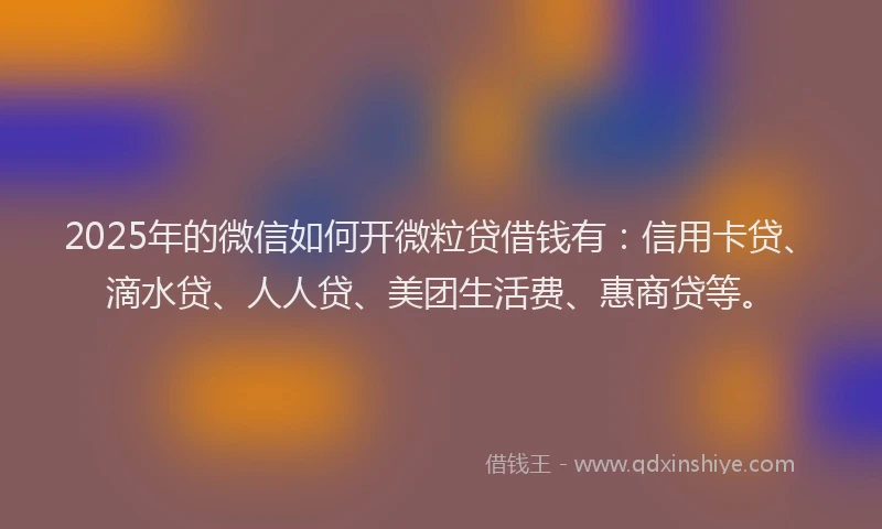 2025年的微信如何开微粒贷借钱有：信用卡贷、滴水贷、人人贷、美团生活费、惠商贷等。