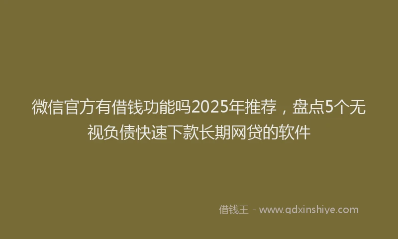 微信官方有借钱功能吗2025年推荐，盘点5个无视负债快速下款长期网贷的软件